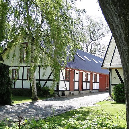 Dyssegaard B&B Skallerup Exterior photo