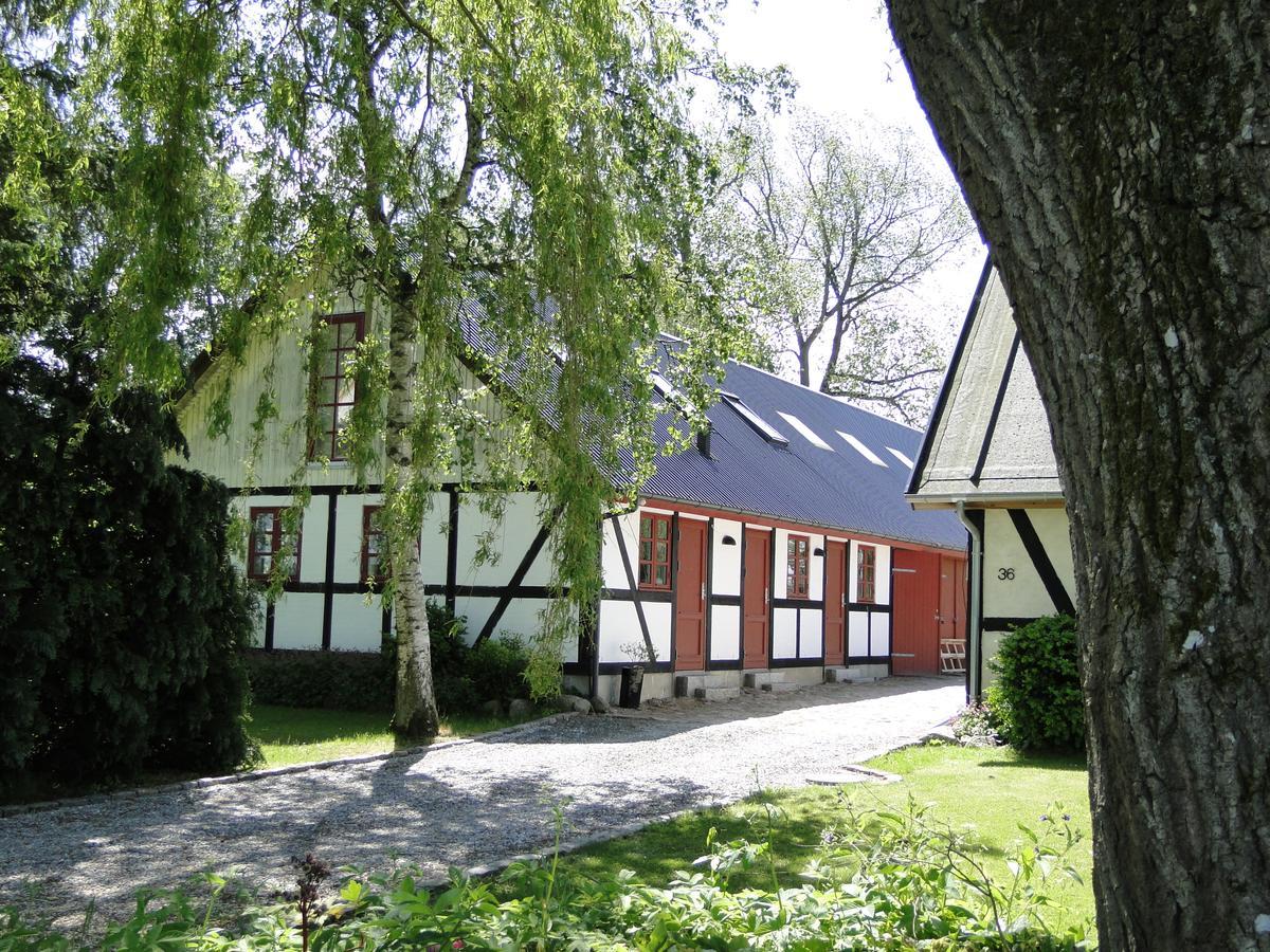 Dyssegaard B&B Skallerup Exterior photo